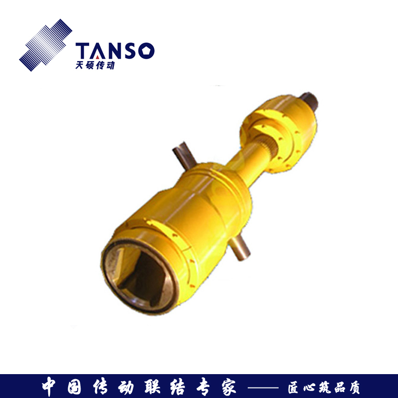 GSL-Z 正裝長伸縮鼓形齒聯(lián)